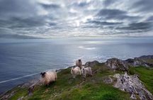 2 Day Ring of Kerry and Dingle Private Tour