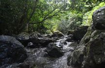 Puerto Rico Waterfall Hiking Tour: Discover Hidden Gems 2.0