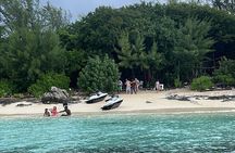 Bahamas Swimming with the Pigs in Crystal Blue Waters