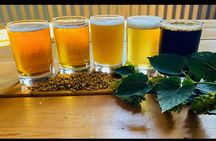 NON BUS VIP Traverse City Brewery And Distillery Tour