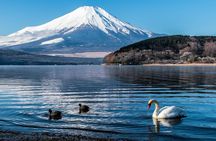 Mount Fuji Private Tour With English Speaking Driver