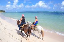 Punta Cana Horseback Riding Adventure
