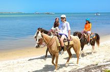 Punta Cana Horseback Riding Adventure