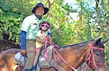 Punta Cana Horseback Riding Adventure