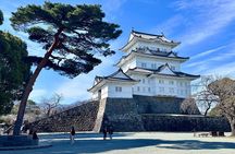 Tokyo: Mt Fuji & Hakone 2-Day Private Tour with Onsen Ryokan Stay