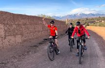 Guided tour of the Palmerie de Skoura by electric mountain bike