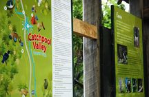 Wellington Native Bush Walking Tour