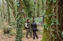 The Lamone Jungle: between brigands and coalmen