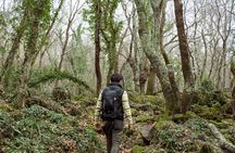 The Lamone Jungle: between brigands and coalmen