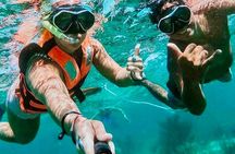 Private Tour Reefs and Corals Puerto Morelos Snorkel Lunch 