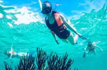 Private Tour Reefs and Corals Puerto Morelos Snorkel Lunch 
