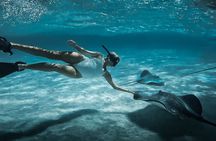 Moorea: Private Snorkeling Tour with Certify Guide