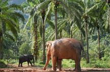 Wildlife Watching Adventure in Ao Nang