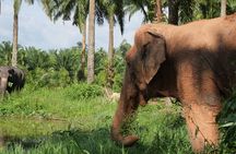 Wildlife Watching Adventure in Ao Nang
