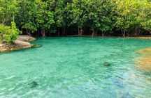 Krabi Jungle Tour Full Day Adventure with Lunch