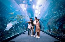 Dubai Highlights with Burj Khalifa visit
