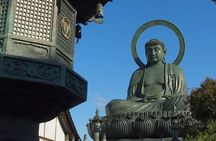 Amaharashi Coast & Shokawa Cruise from Kanazawa