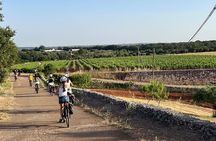 E bike tour from Alberobello to Locorotondo round trip