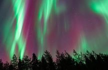 Rovaniemi Insider: Northern lights trip for families