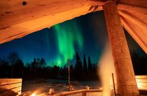 Rovaniemi Insider: Northern lights trip for families