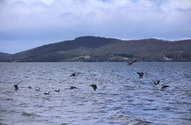 Bruny Island Small-Group Guided Tour From Hobart
