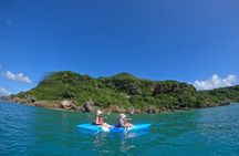 Okinawa East Coast 3-hour Marine Experience: Kayak or SUP