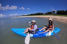Okinawa East Coast 3-hour Marine Experience: Kayak or SUP