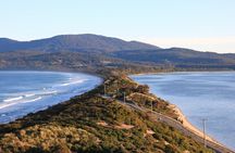 Tasmania｜Bruny Island Full-Day Escapes From Hobart