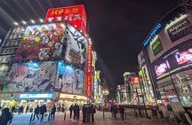 Tokyo Shinjuku Private Night Tour with Gaming Experience