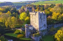 Afternoon Blarney Castle and Cobh Half Day Tour from Cork
