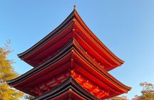 Private and unlimited adventures within Kyoto Nara Osaka Kobe 