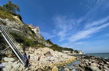 Stevn Klint UNESCO Heritage Tour and Vikingborg Fort.