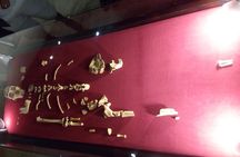 The Cradle of Humankind, Sterkfontein caves and Maropeng 