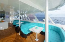 Phuket: Phi Phi Islands Full Day Trip