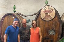 Lucca tour and Pisa Tower + WineTasting by van from Livorno Port
