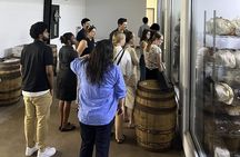Indoor Mushroom Farm Tour