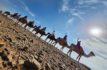 Desert Agafay camel ride atlas mountains hike all-inclusive 