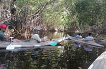 Celestún Mangrove Exploration & Beach Escape from Mérida