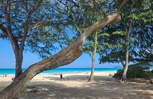 Private Jeep Tour of Oahu's Best Hidden Gems