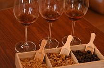 Geisha Experience Panama Where Coffee Transforms Into Art