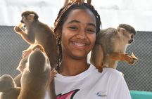 Monkey Park Tour and Damajagua waterfalls in Puerto Plata.
