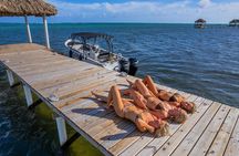 San Pedro: Fun-Filled Day Private Snorkeling Tour