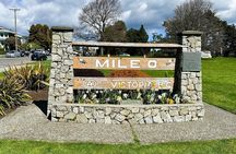 Victoria City 2hr Express Tour – Private (Day or Night, 1–6pax)