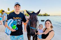 Experience the Swimming Horses at Carlisle Bay & the Garrison