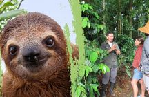 Sloths Observation and Coffee, Chocolate, Sugarcane Experience