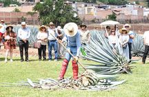 Tequila Express Round Trip by Train