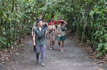 Sloths Observation and Coffee, Chocolate, Sugarcane Experience