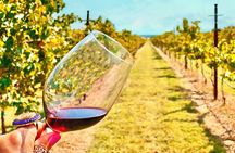 2 to 5 Guests Fredericksburg Private Mercedes SUV Wine Tour