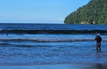 City Highlight Tour to Maracas Beach Experience