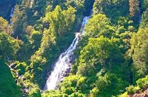 Private Tour of Salazie with a Driver Guide